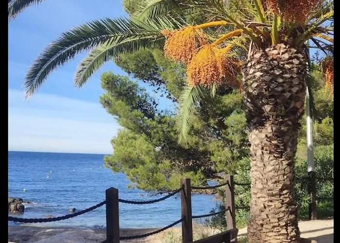 Les Perles Marines *